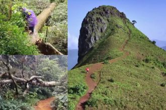 Ettina Bhuja trekking Re open Tourists stranded by fallen trees on the road