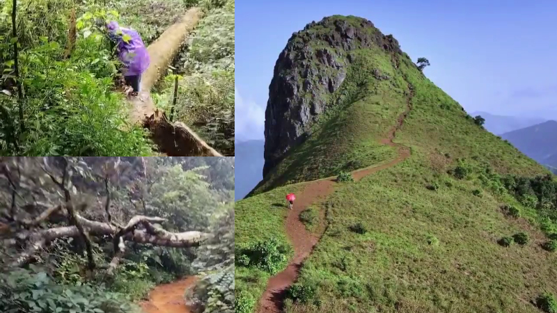 Ettina Bhuja trekking Re open Tourists stranded by fallen trees on the road