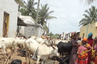 Gadag