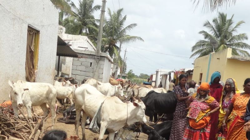 Gadag