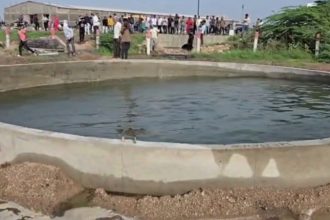 Gujarat Well
