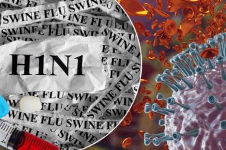 H1N1 1