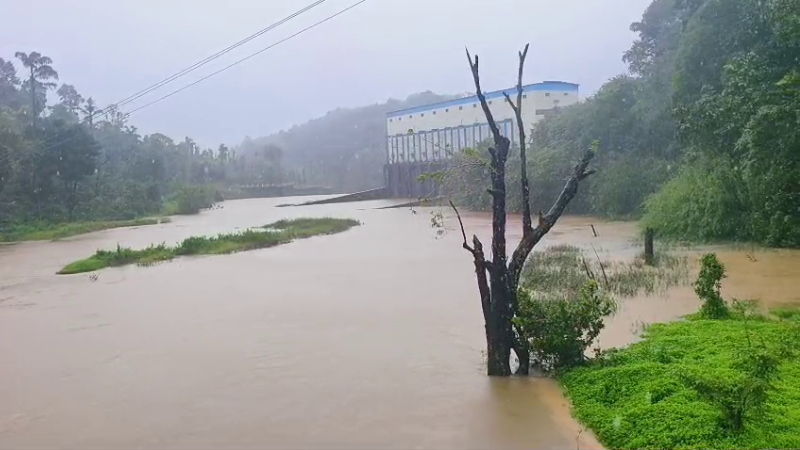 Karnataka Rain Live Updates | ಮಡಿಕೇರಿ - ಮಂಗಳೂರು ಹೈವೇ ಬಳಿ ಭೂಕುಸಿತ 24 HASSAN RAIN