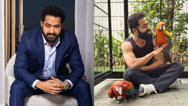 Jr NTR undergoes successful shoulder surgery