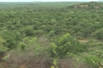 Kasturirangan report forest