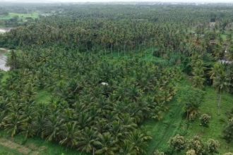 Marase and Madaragalli Varuna Land 2