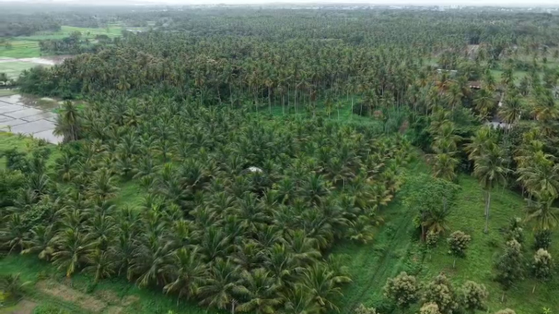 Marase and Madaragalli Varuna Land 2