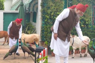 Modi Reel