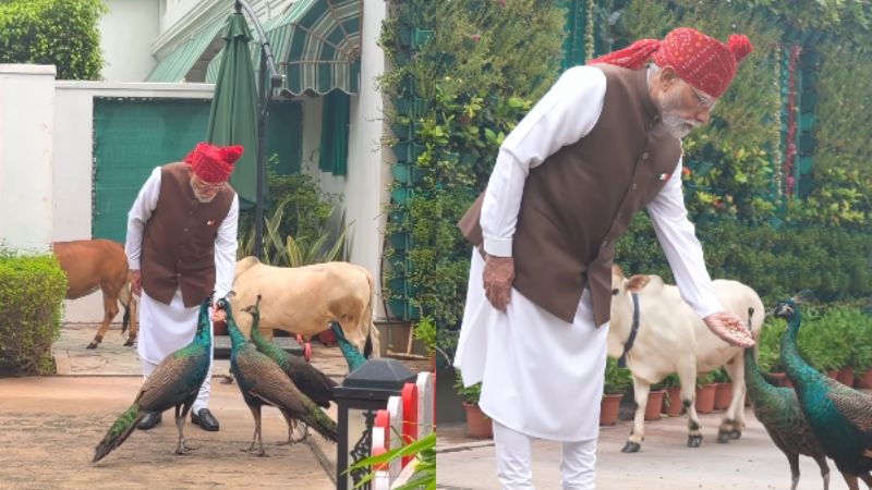 Modi Reel