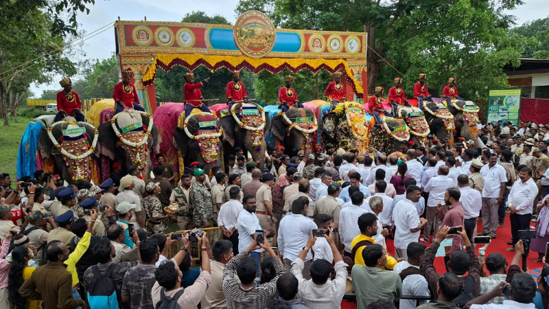 Mysuru Dasara elephants 1