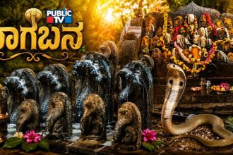 Nagara Panchami And Naga Bana