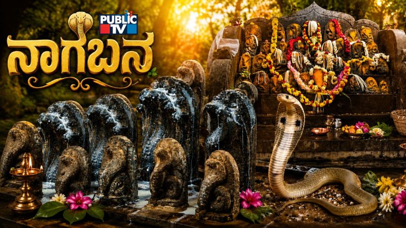 Nagara Panchami And Naga Bana