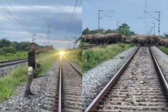 Rajdhani Express halted for elephants in Assam