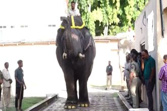Sri Kanta Ane