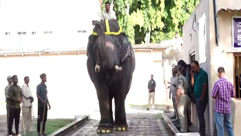 Sri Kanta Ane