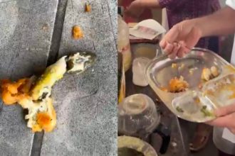 chikkamagaluru horanadu lizard found in a hotel food