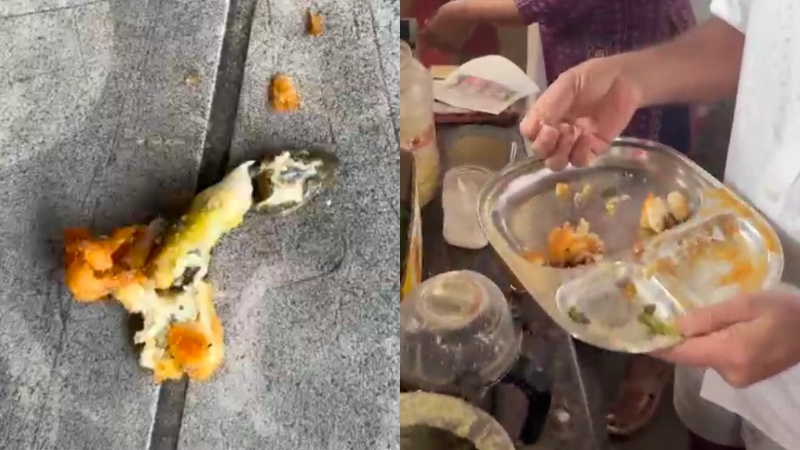chikkamagaluru horanadu lizard found in a hotel food
