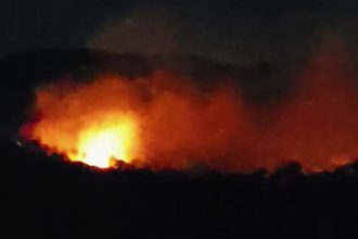 hanur encounter case miscreants set fire to 10 acres of forest