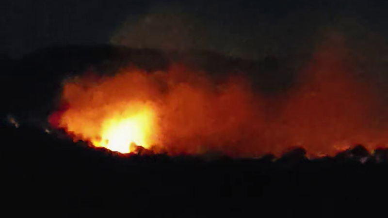 hanur encounter case miscreants set fire to 10 acres of forest