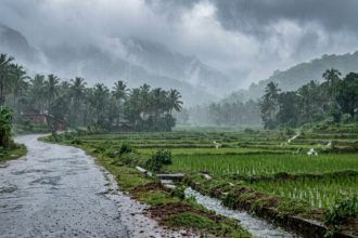 heavy rain karnataka
