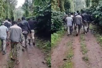 leopard searching operation