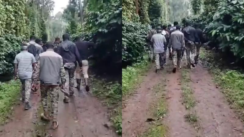 leopard searching operation