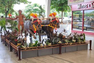 mangaluru airport kambala