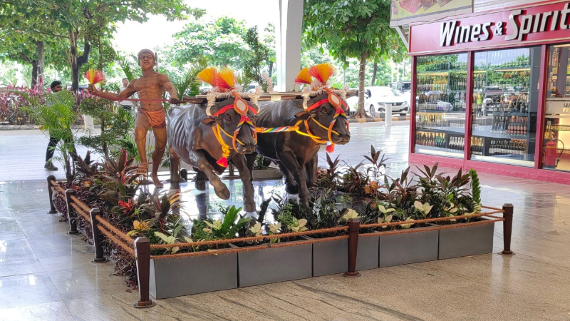 mangaluru airport kambala