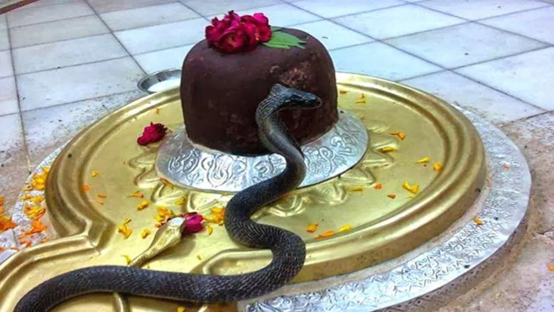ಅರುಣಾಯದ ಸಂಗಮೇಶ್ವರ ಮಹಾದೇವ; ವರ್ಷಕ್ಕೊಮ್ಮೆ ಕಾಣಿಸಿಕೊಳ್ಳುವ ನಾಗ–ನಾಗಿಣಿಯ ಜೋಡಿಯ ರಹಸ್ಯವೇನು? 12 sangameshwar mahadev temple arunay