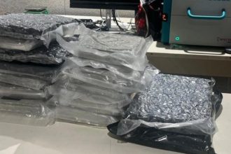 Airport Narcotics Seize