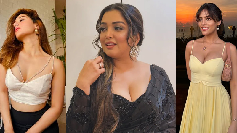 Amrapali Dubey Hindi Bigg Boss
