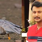 Darshan 1