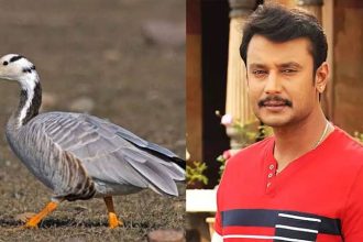 Darshan 1