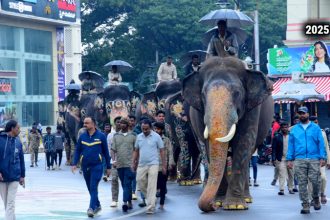 Dasara Elephant