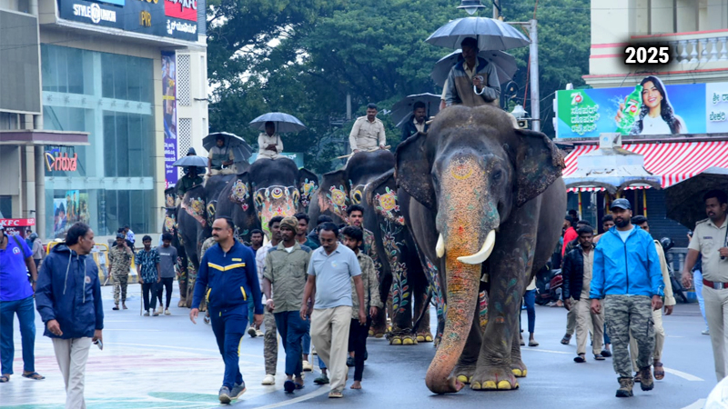 Dasara Elephant