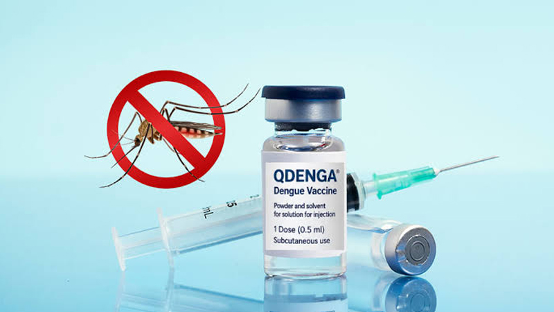 Dengue Vaccine