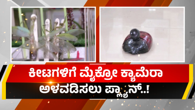 ಮೃತದೇಹ ಪತ್ತೆ ಹಚ್ಚಲು ಕೀಟಗಳ ಬಳಕೆ - ಧಾರವಾಡ ವಿವಿ ವಿದ್ಯಾರ್ಥಿಗಳಿಂದ ವಿಭಿನ್ನ ಪ್ರಯೋಗ 9 Dharwad University shows Use of Insects to detect human corpses