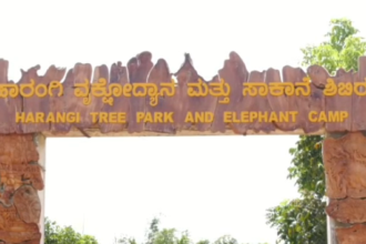 Harangi elephant Camp