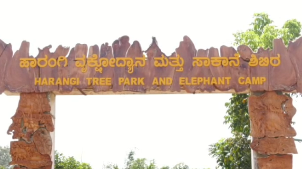 Harangi elephant Camp