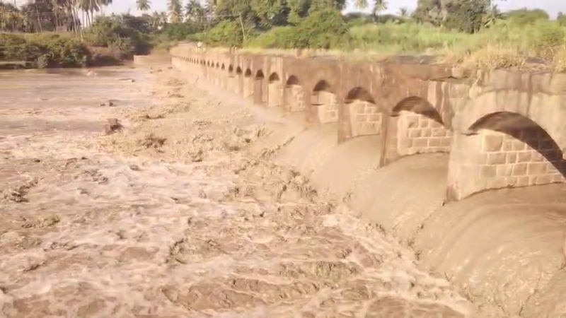 Heavy Rains Revive Malaprabha River Bringing Cheer to Farmers in Bagalkote