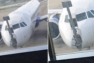 IndiGo 1