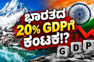 Indian GDP
