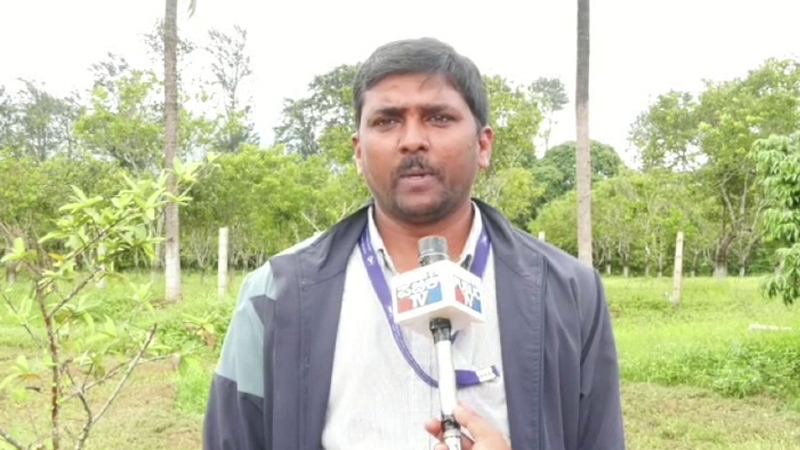 ಕೊಡಗಿನಲ್ಲಿ ವಿದೇಶಿ ಹಣ್ಣುಗಳ ಕೃಷಿಗೆ ಹೊಸ ಹೆಜ್ಜೆ - ಲಾಂಗಾನ್, ರಾಂಬುಟಾನ್, ಲಿಚ್ಚಿ ಬೆಳೆಯತ್ತ ರೈತರ ಚಿತ್ತ 12 Kodagu 2