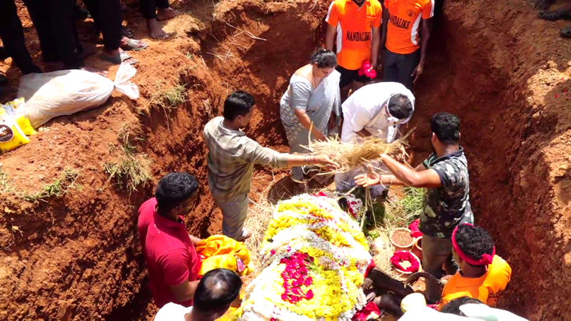 Legendary Kambala Buffalo Nandalike Pandu Passes Away at 26 Coastal Karnataka Mourns Medal Champion 1