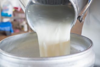 Milk