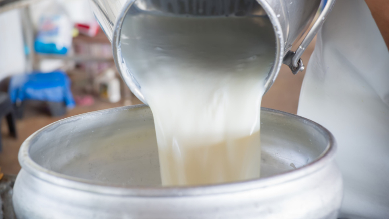 Milk