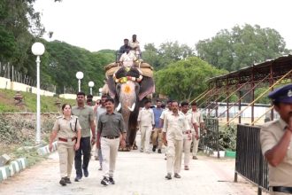 Mysuru Dasara 2026 Weight Bearing Rehearsals Begin for Elephants 1