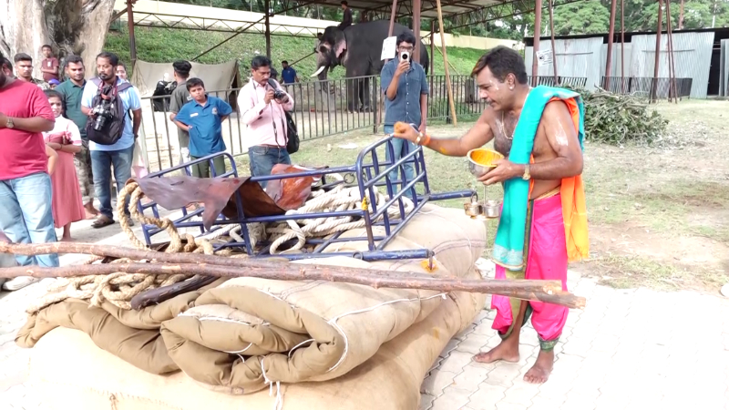 Mysuru Dasara 2026 Weight Bearing Rehearsals Begin for Elephants 2