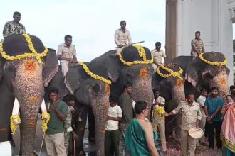 Mysuru Dasara Second Batch Elephants