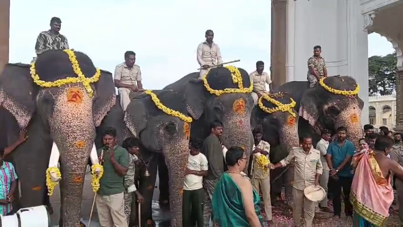 Mysuru Dasara Second Batch Elephants